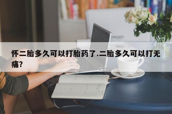 哪里可以买到打胎药怀二胎多久可以打胎药了.二胎多久可以打无痛？