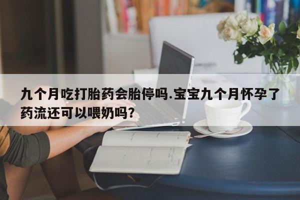 哪里可以买到打胎药九个月吃打胎药会胎停吗.宝宝九个月怀孕了药流还可以喂奶吗？