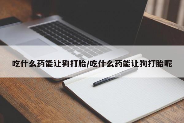 哪里可以买到打胎药吃什么药能让狗打胎/吃什么药能让狗打胎呢