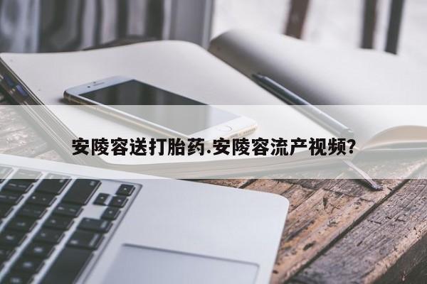 哪里可以买到打胎药安陵容送打胎药.安陵容流产视频？