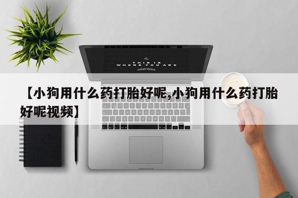 哪里可以买到打胎药【小狗用什么药打胎好呢,小狗用什么药打胎好呢视频】
