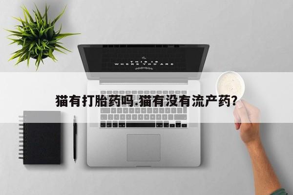 哪里可以买到打胎药猫有打胎药吗.猫有没有流产药？